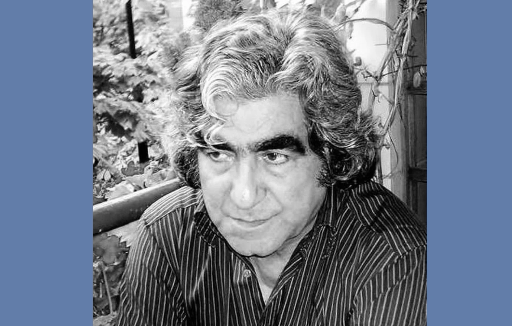 طنین بلند شعری که از سنگرهای بیداری گذشت